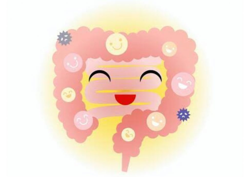 整腸の効果