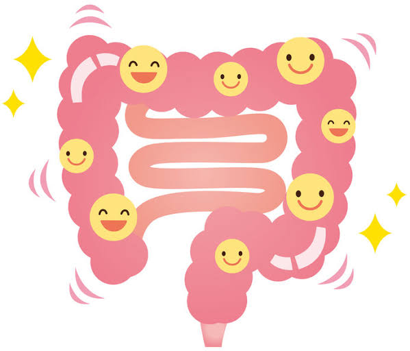 睡眠の質を高める方法(栄養:乳酸菌)