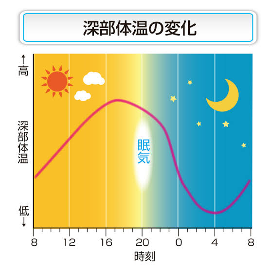 眠りの仕組み②