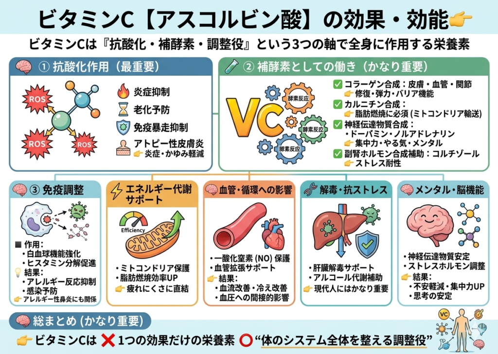 ビタミンC(アスコルビン酸)の効果・効能