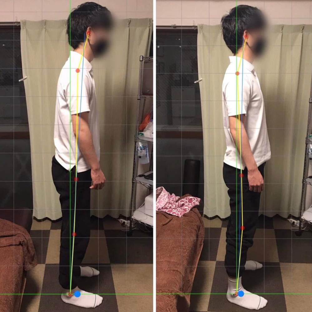 施術実績の一例