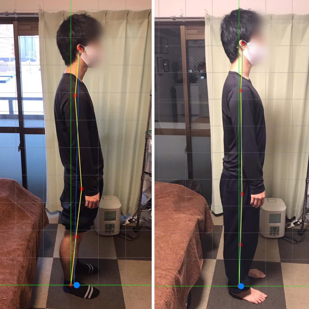 施術実績の一例