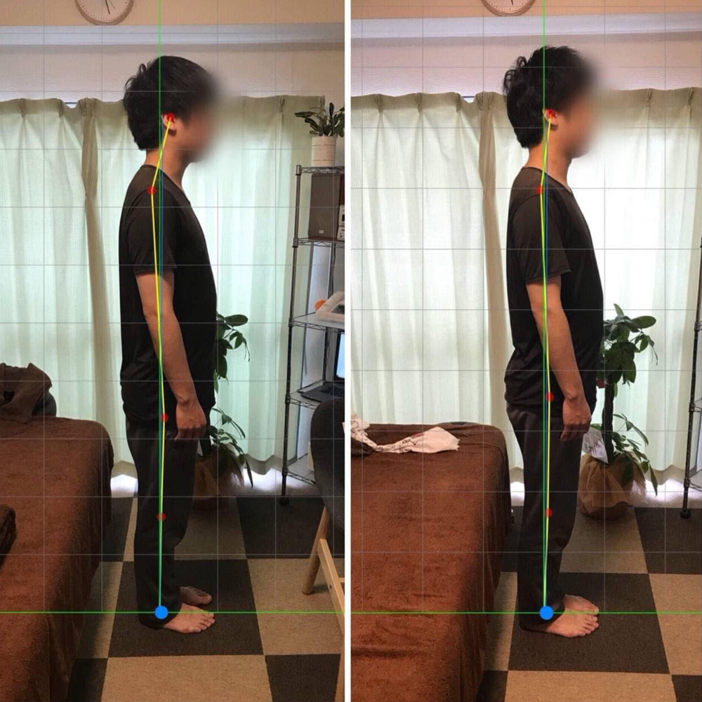 施術実績の一例