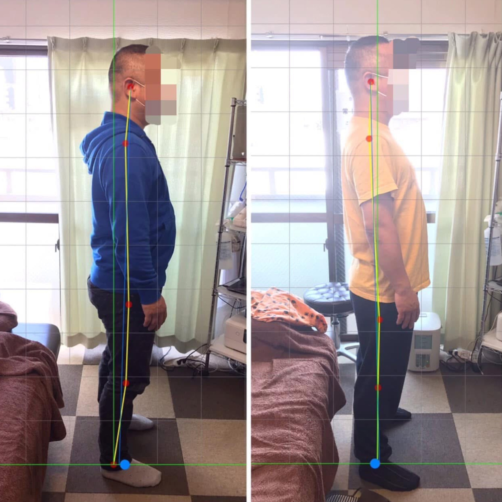 施術実績の一例