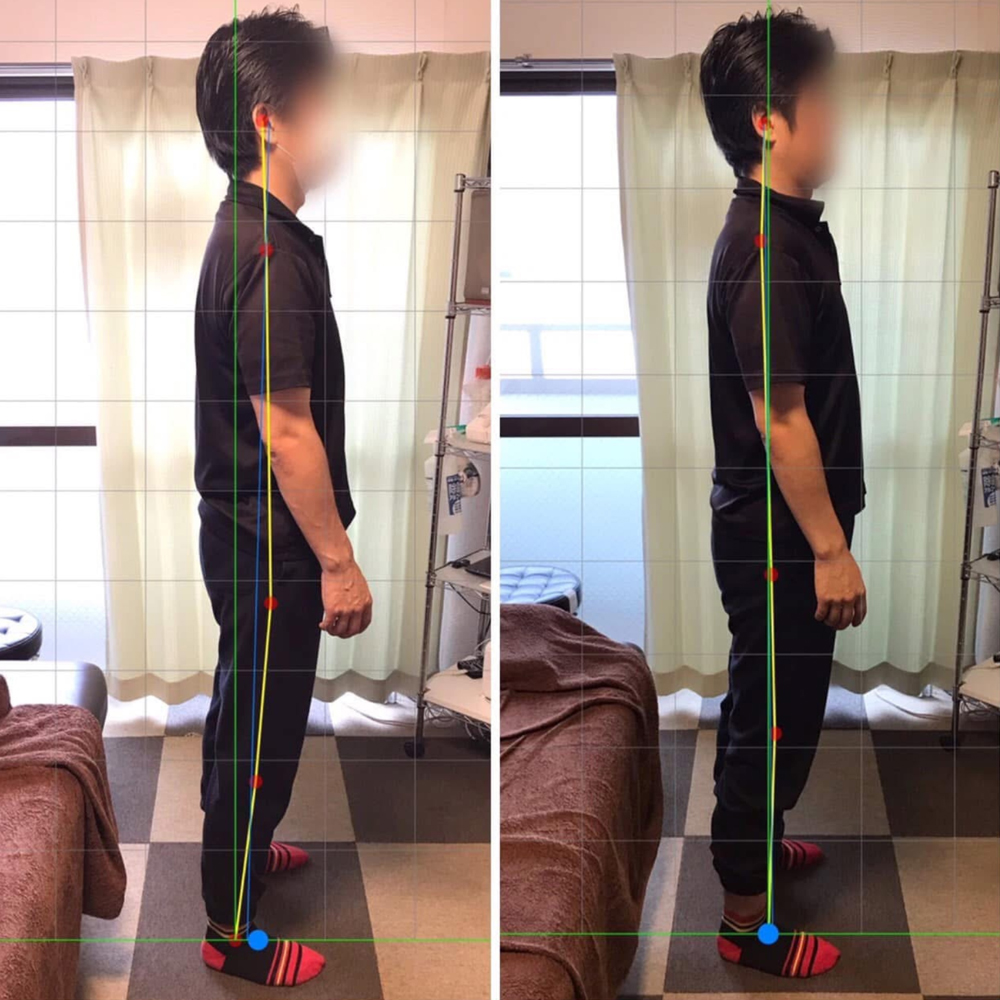 施術実績の一例