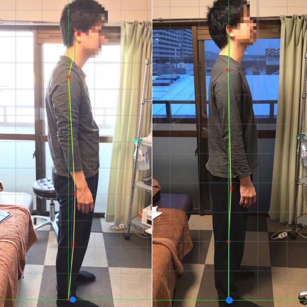 施術実績の一例