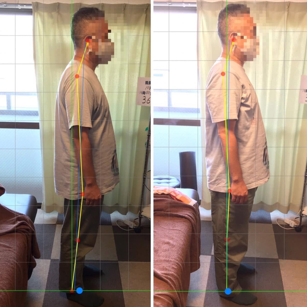 施術実績の一例