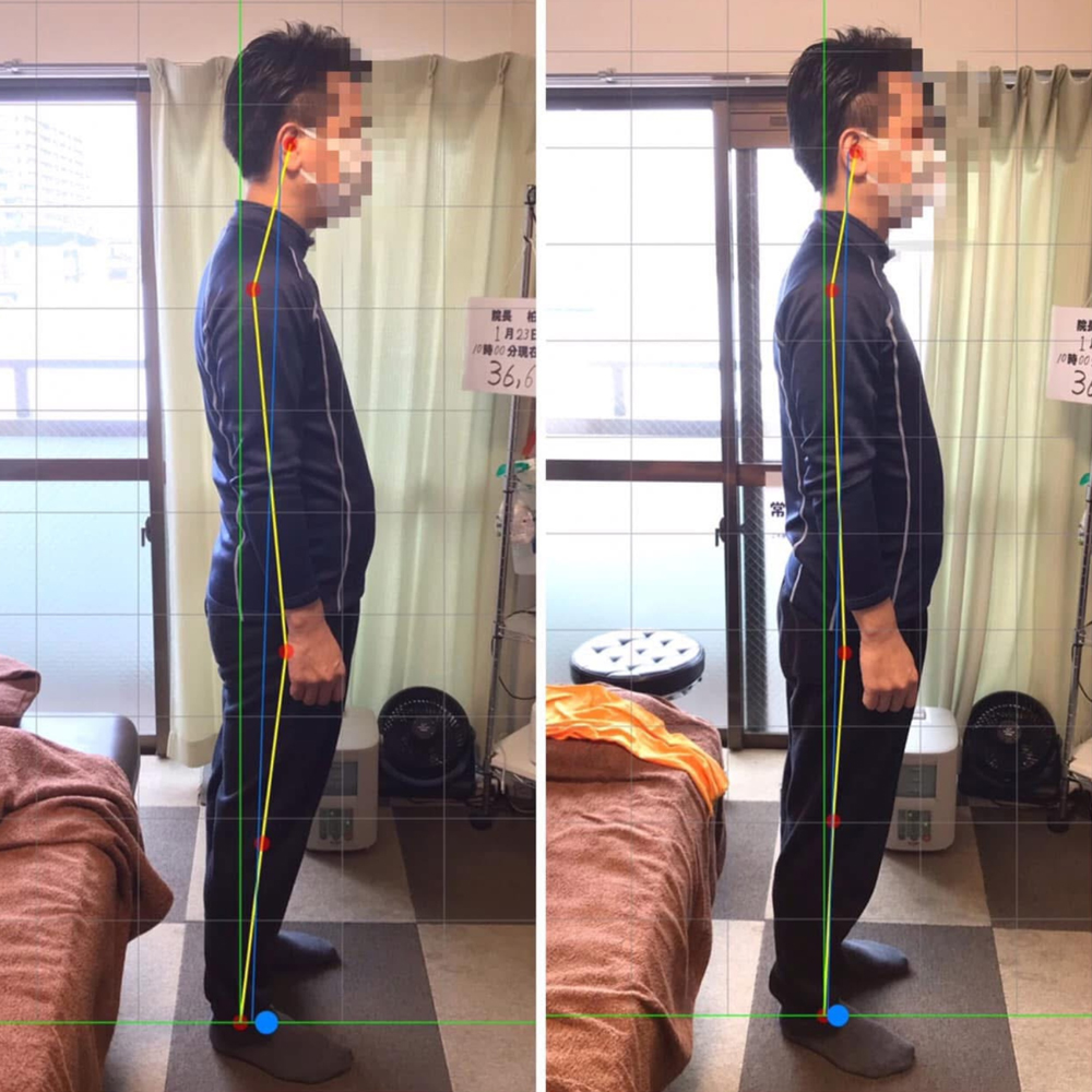 施術実績の一例