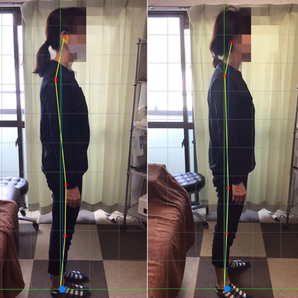 施術実績の一例