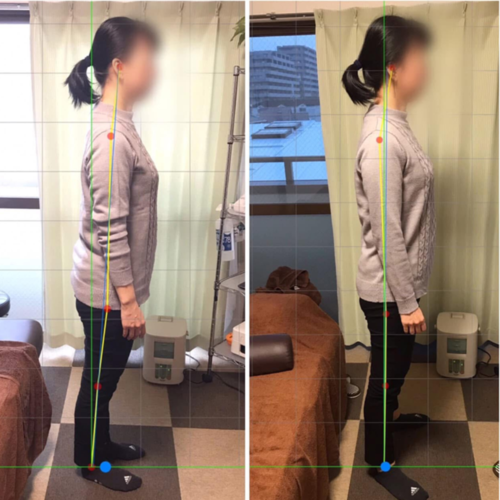 施術実績の一例