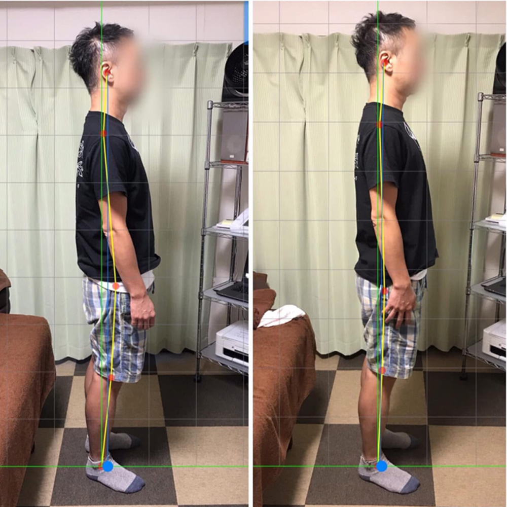 施術実績の一例