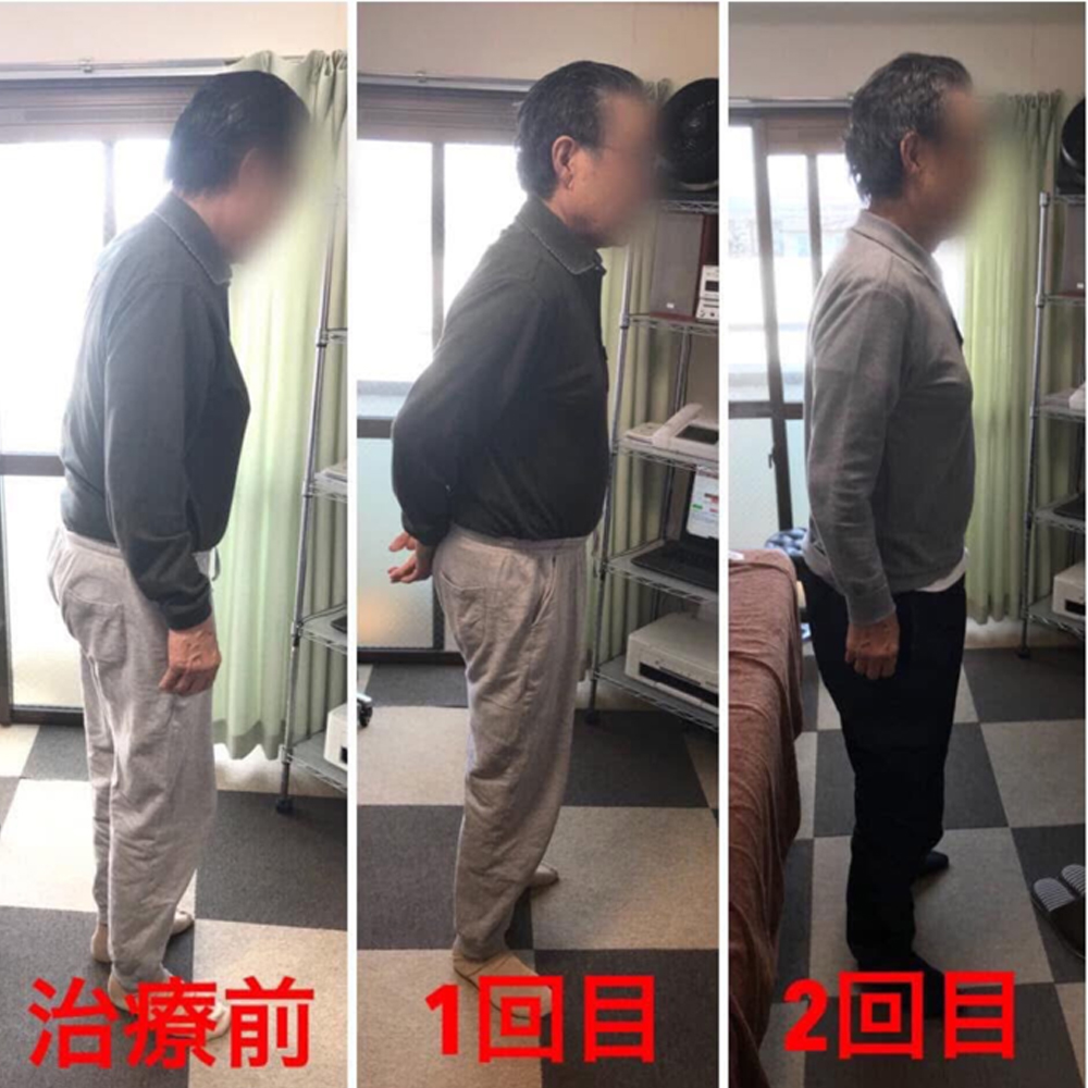 施術実績の一例