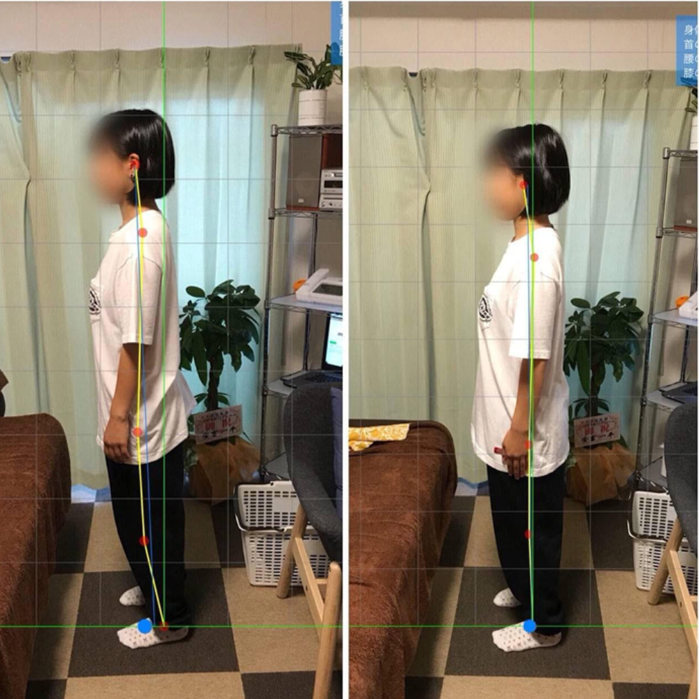 施術実績の一例