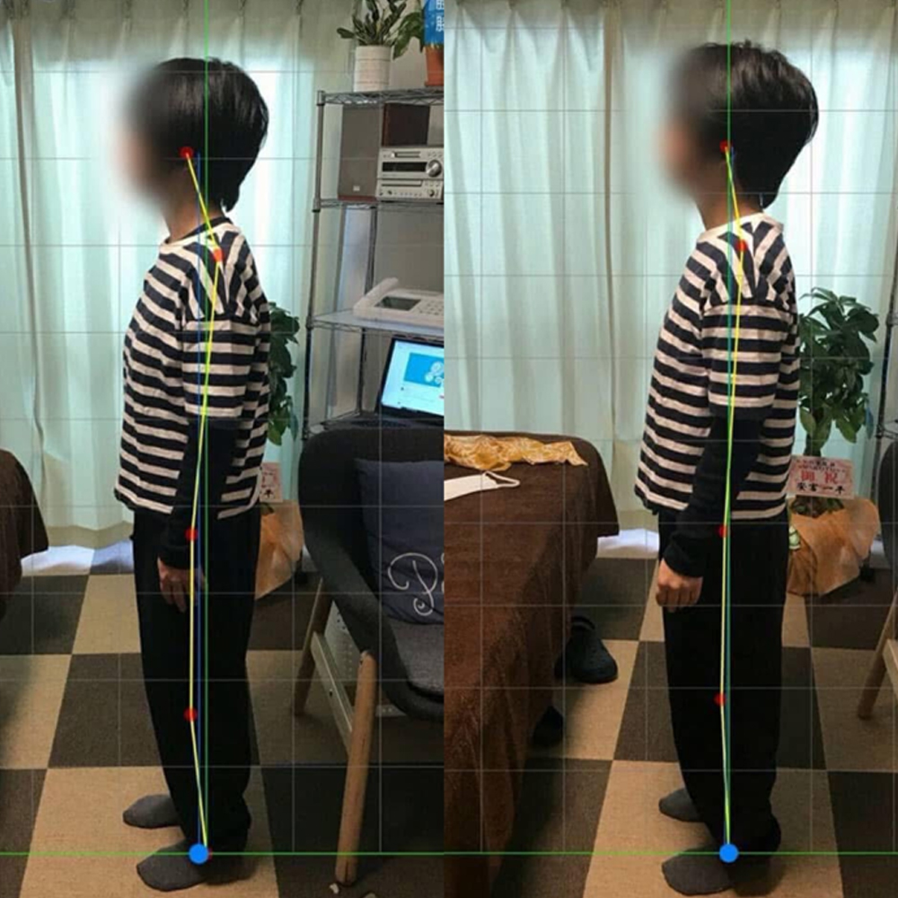 施術実績の一例